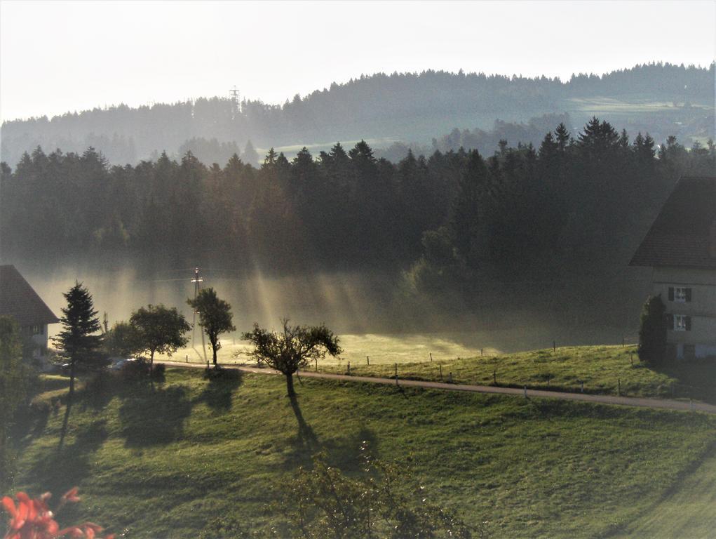 Bio-Bauernhof Heidegger Villa Moeggers Bagian luar foto