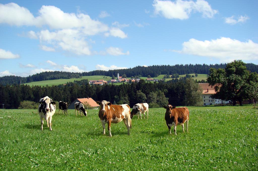 Bio-Bauernhof Heidegger Villa Moeggers Bagian luar foto