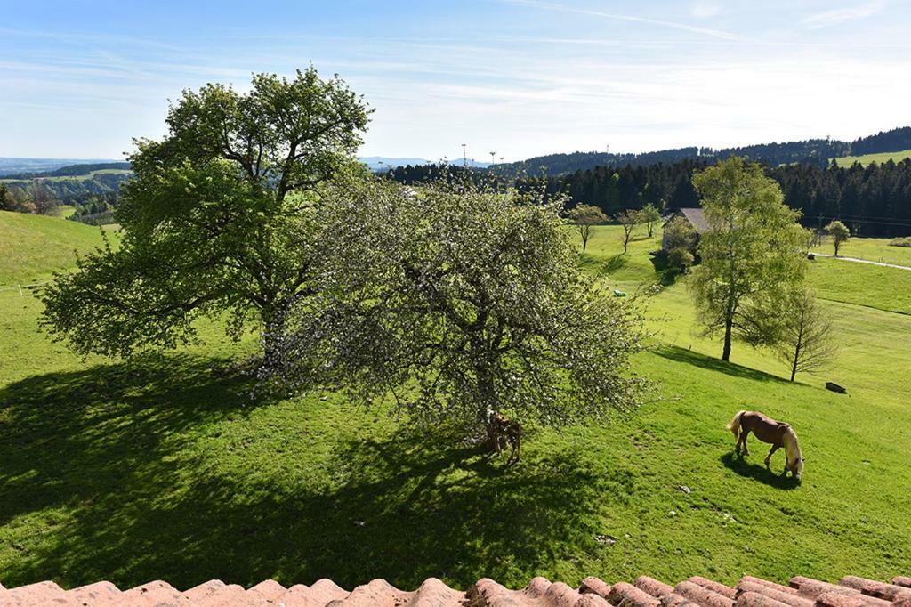 Bio-Bauernhof Heidegger Villa Moeggers Bagian luar foto