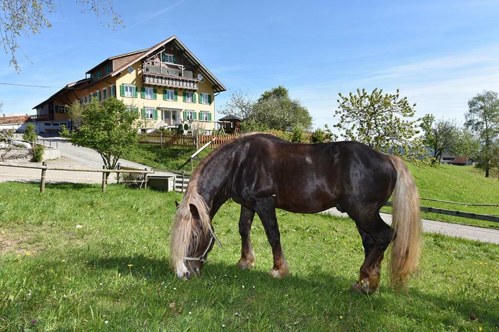 Bio-Bauernhof Heidegger Villa Moeggers Bagian luar foto